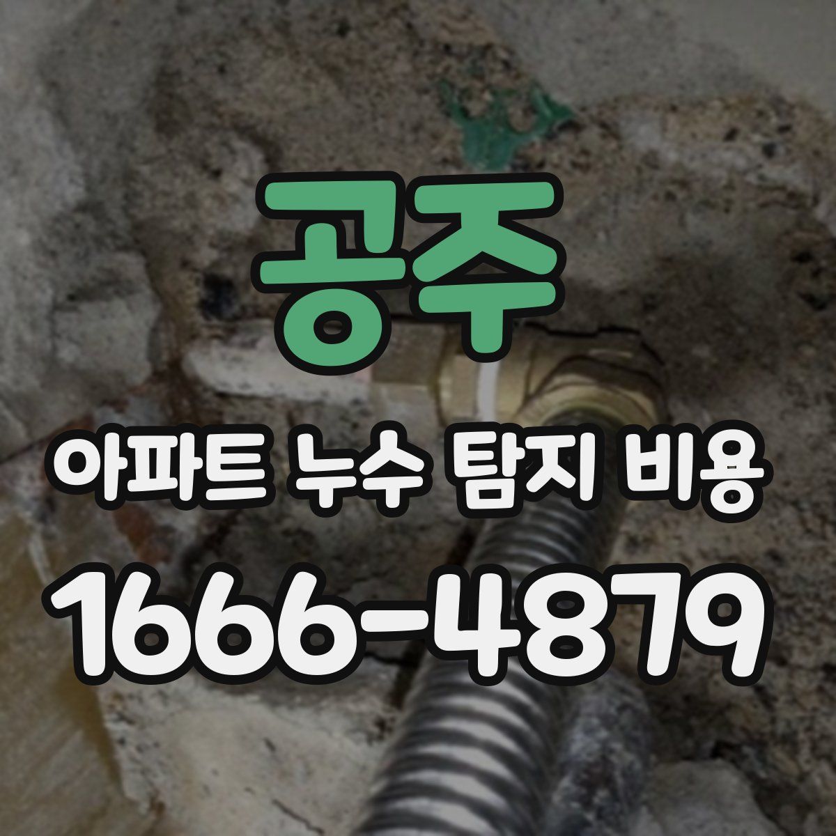 공주 아파트 누수 탐지 비용