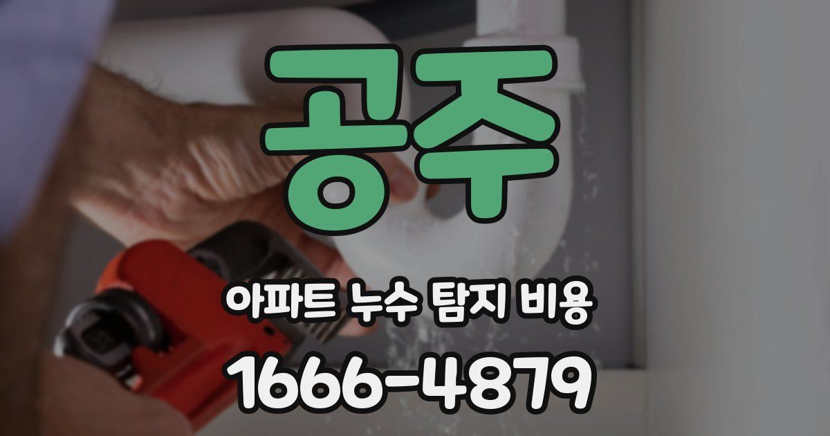 공주 아파트 누수 탐지 비용