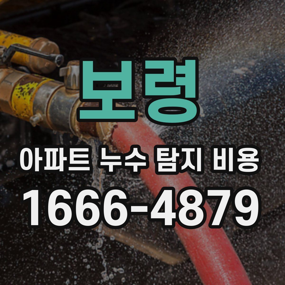 보령 아파트 누수 탐지 비용