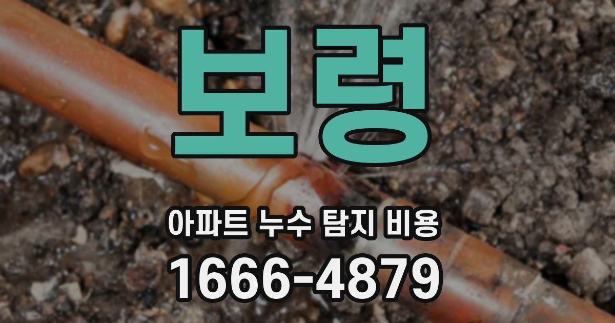 보령 아파트 누수 탐지 비용