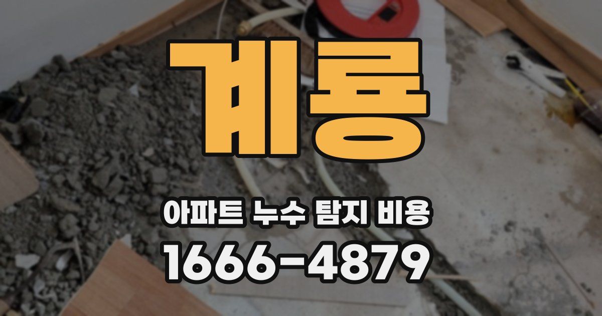 계룡 아파트 누수 탐지 비용