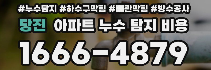 당진 아파트 누수 탐지 비용