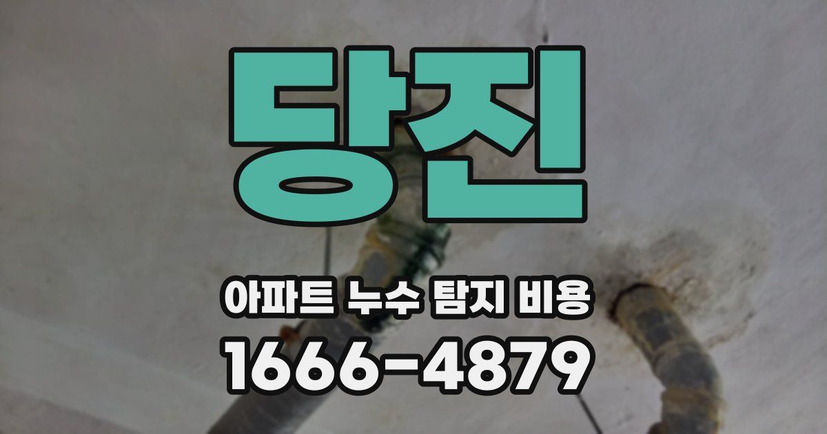 당진 아파트 누수 탐지 비용