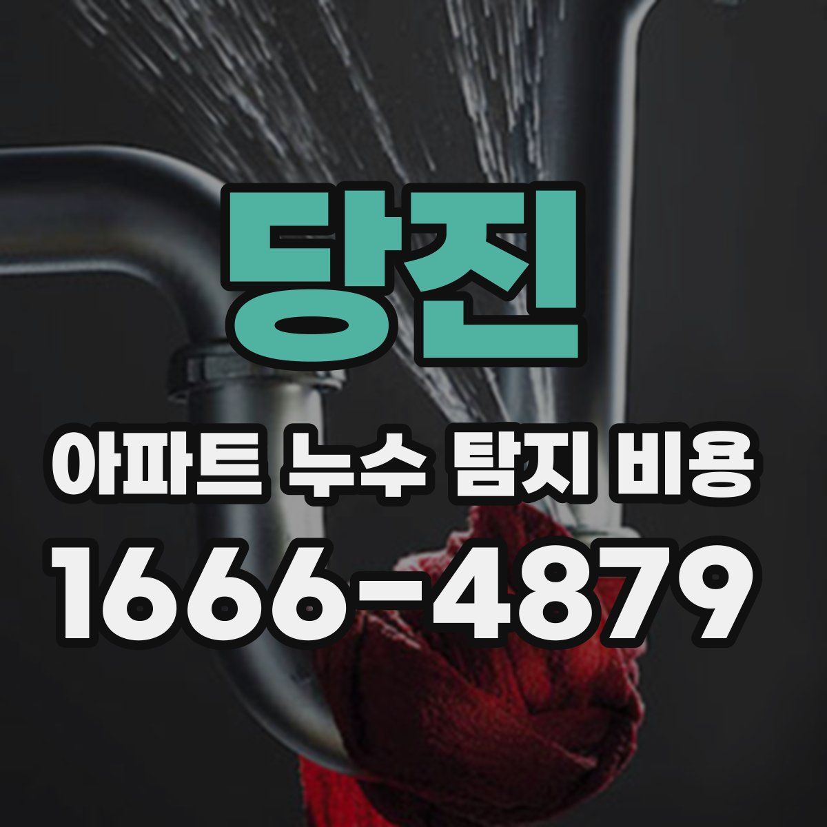 당진 아파트 누수 탐지 비용