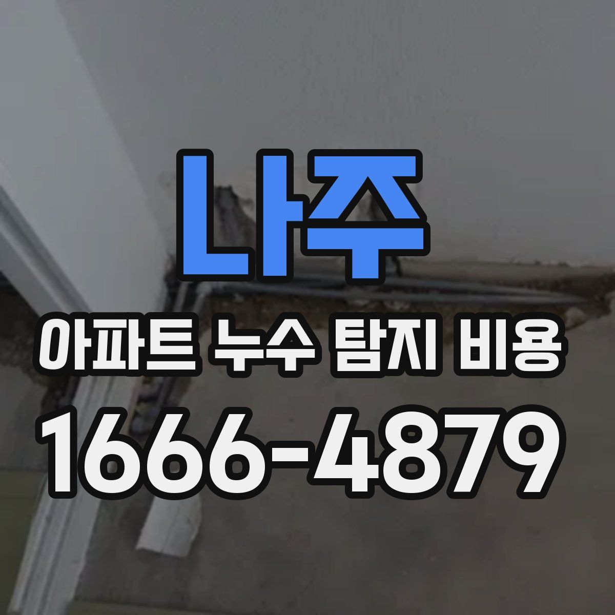 나주 아파트 누수 탐지 비용