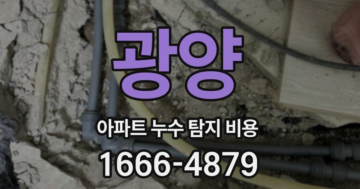 광양 아파트 누수 탐지 비용