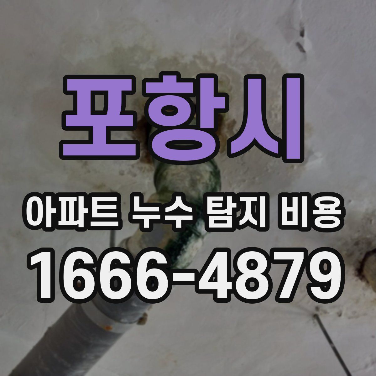 포항시 아파트 누수 탐지 비용
