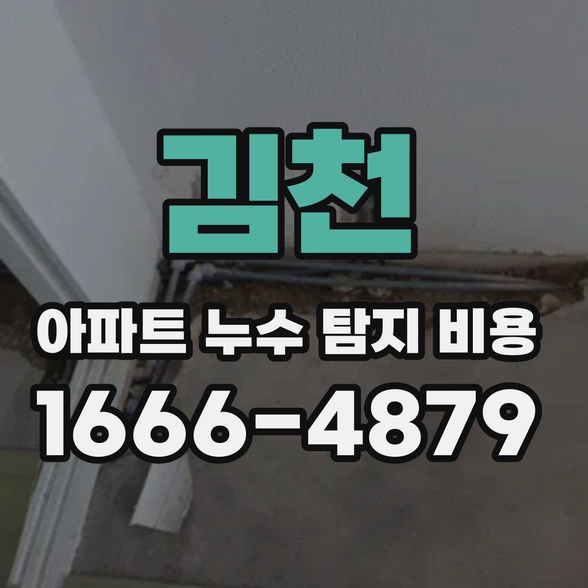 김천 아파트 누수 탐지 비용