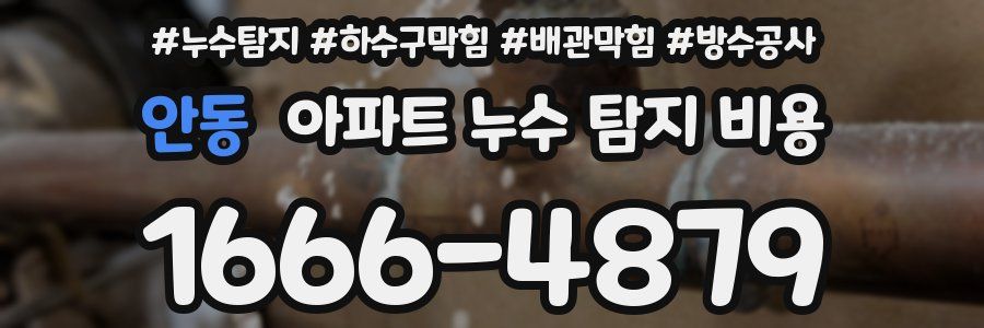 안동 아파트 누수 탐지 비용