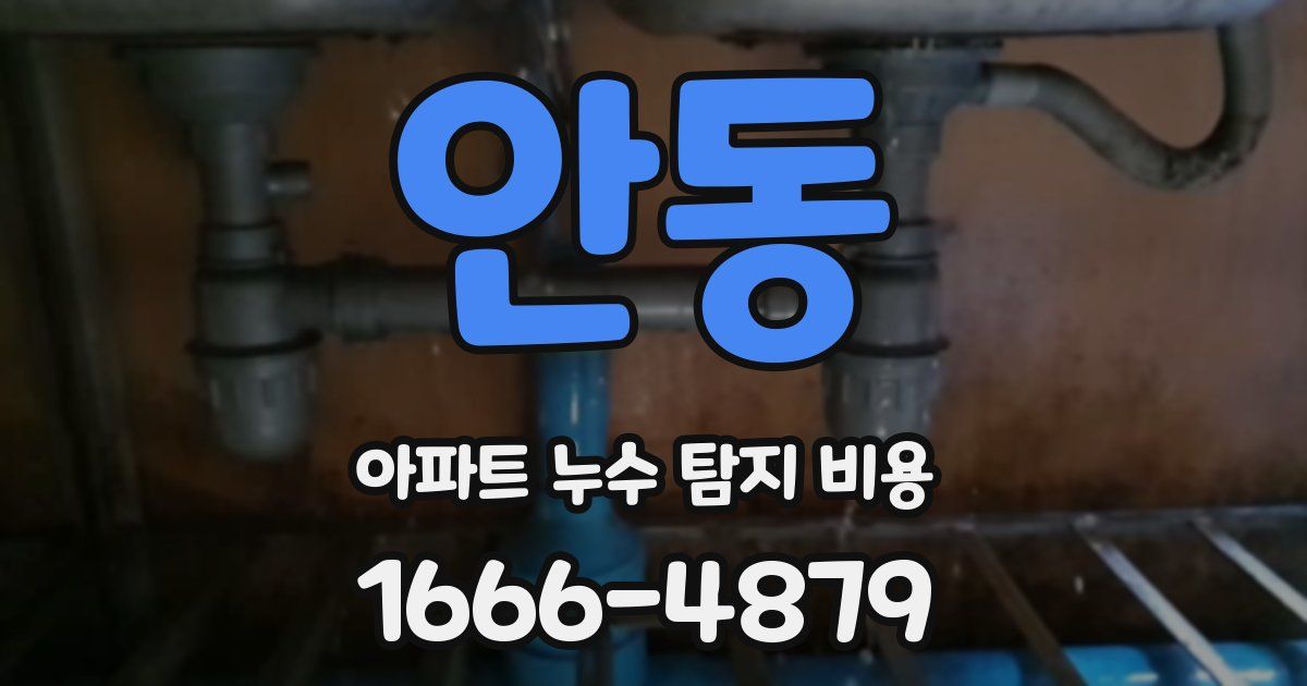 안동 아파트 누수 탐지 비용
