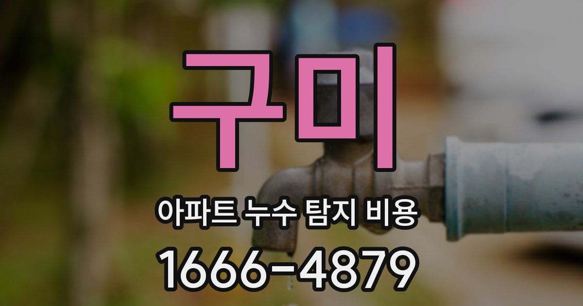 구미 아파트 누수 탐지 비용
