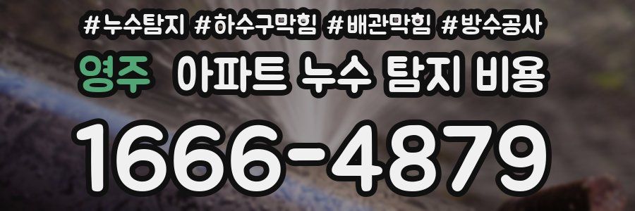 영주 아파트 누수 탐지 비용