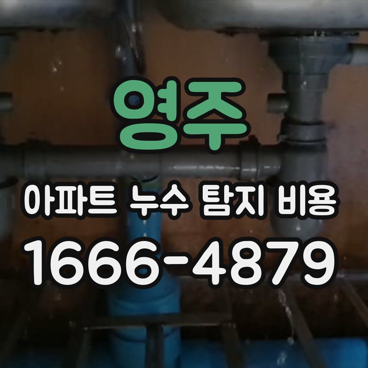 영주 아파트 누수 탐지 비용