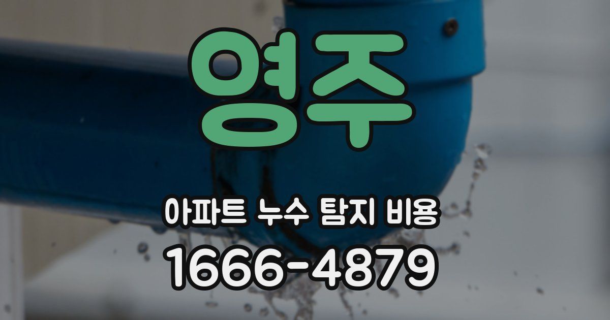 영주 아파트 누수 탐지 비용