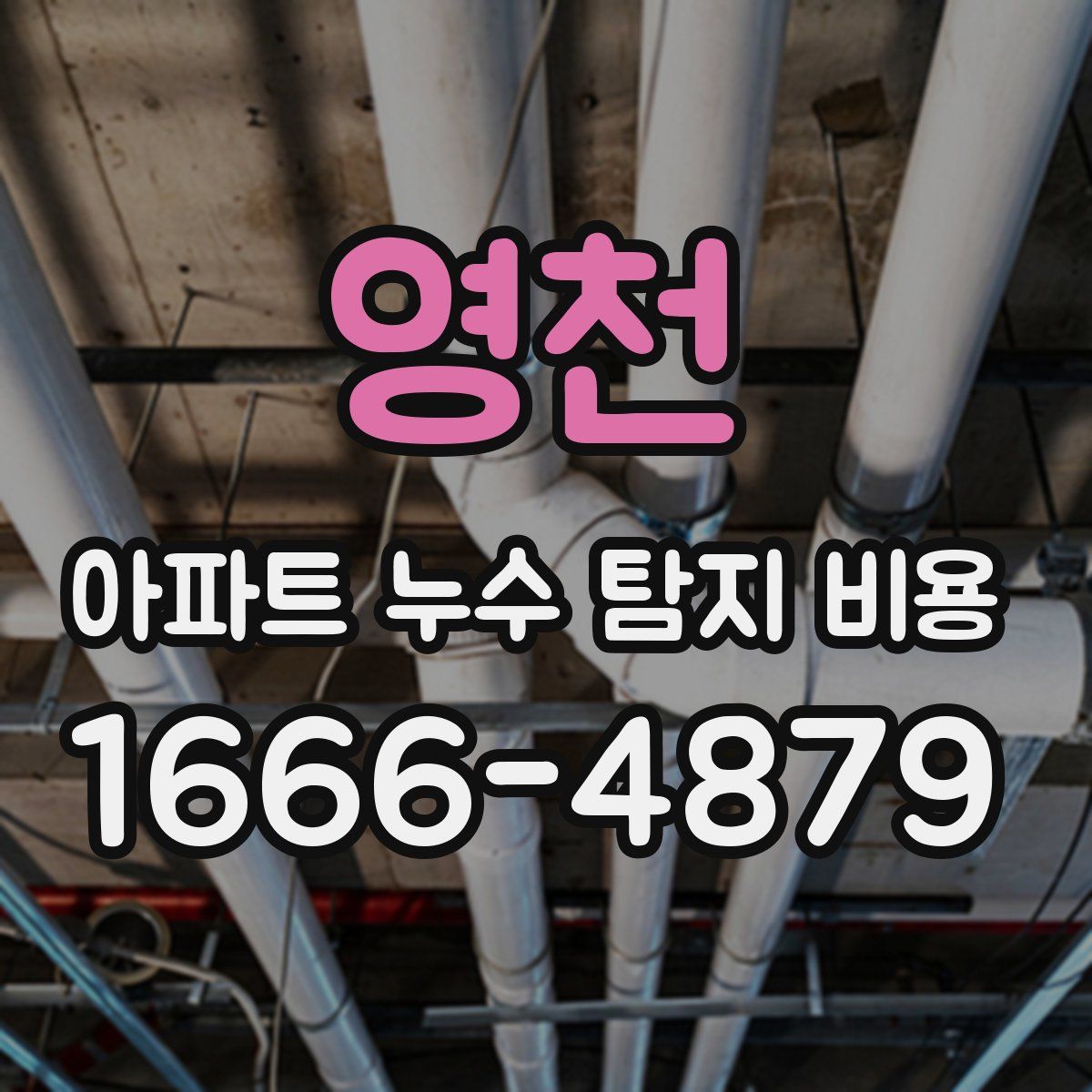 영천 아파트 누수 탐지 비용
