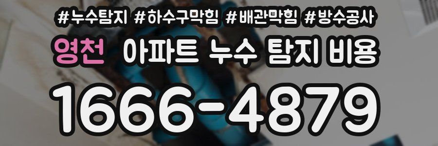 영천 아파트 누수 탐지 비용