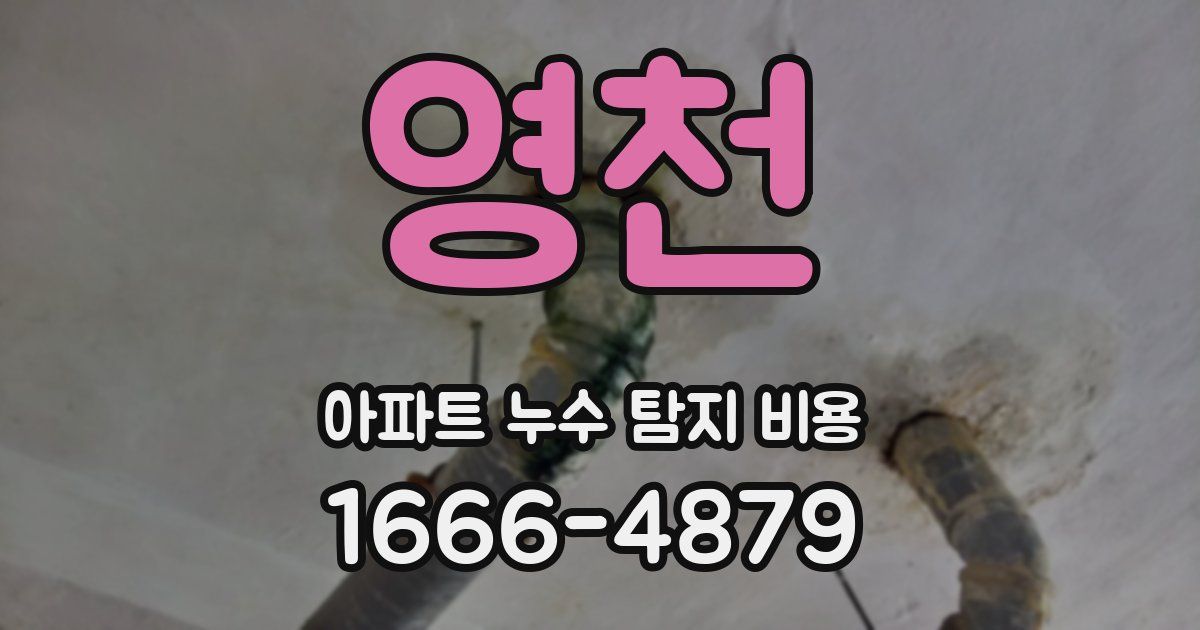 영천 아파트 누수 탐지 비용