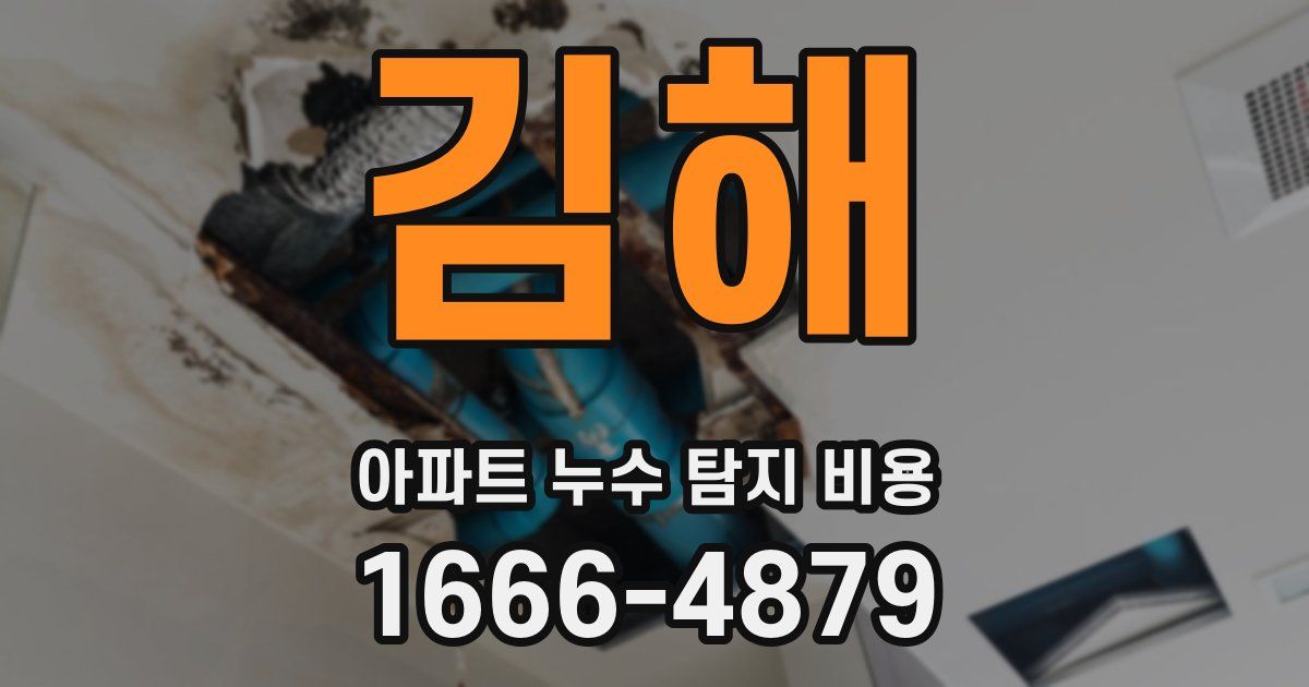 김해 아파트 누수 탐지 비용