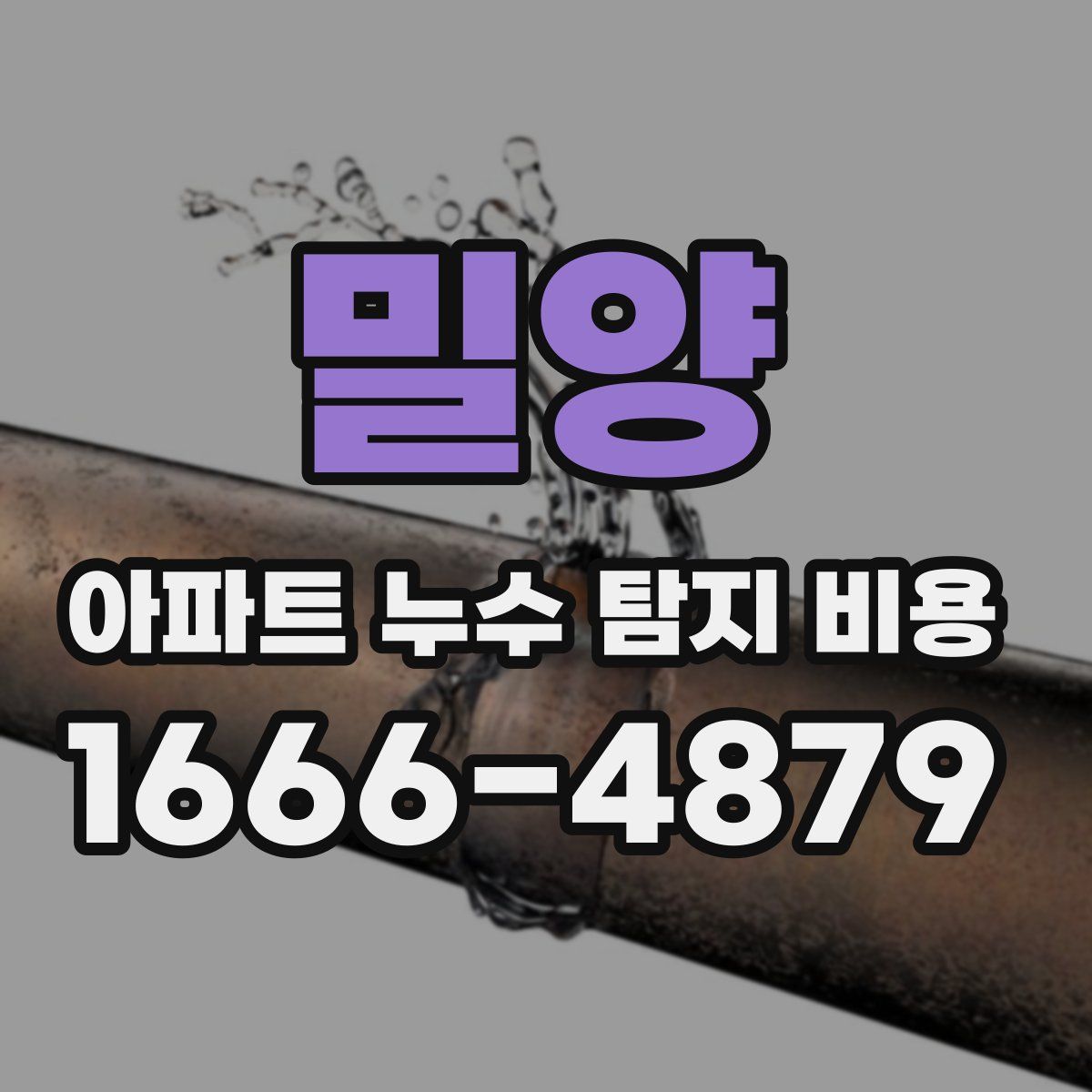 밀양 아파트 누수 탐지 비용