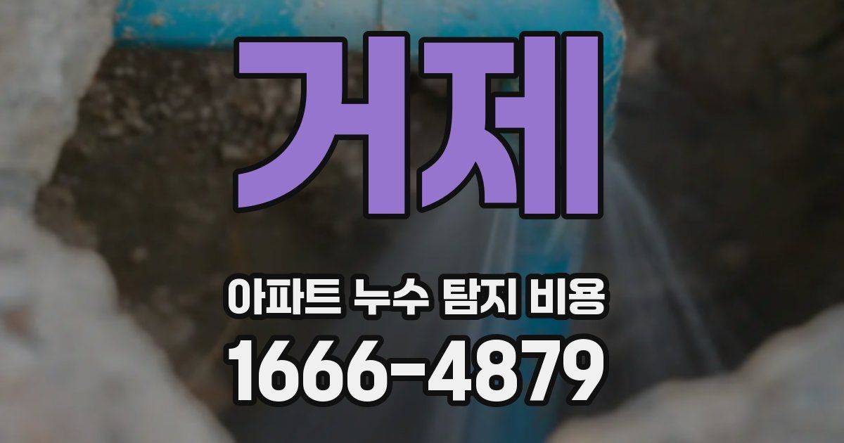 거제 아파트 누수 탐지 비용