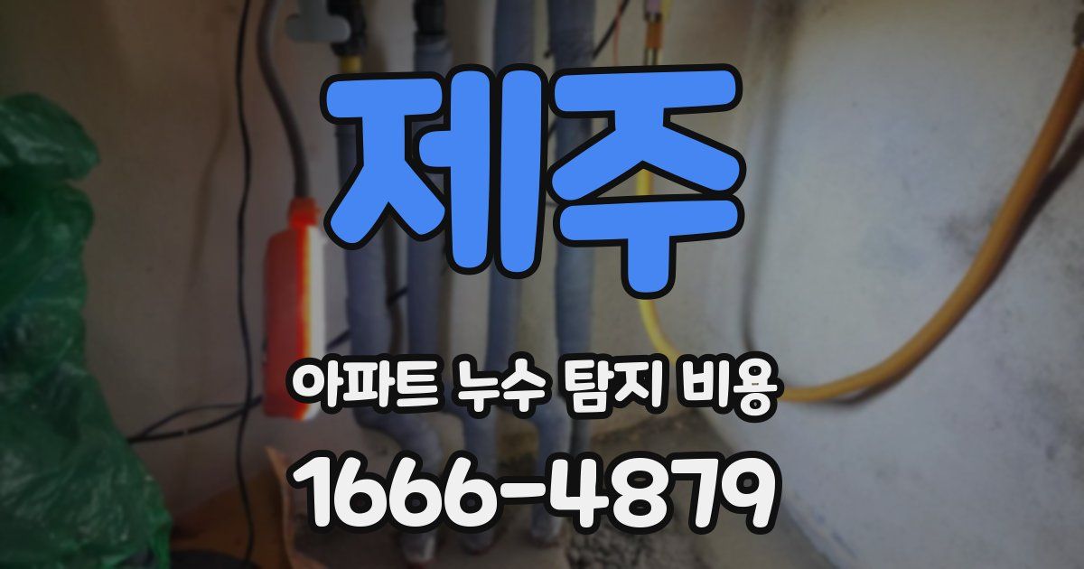 제주 아파트 누수 탐지 비용