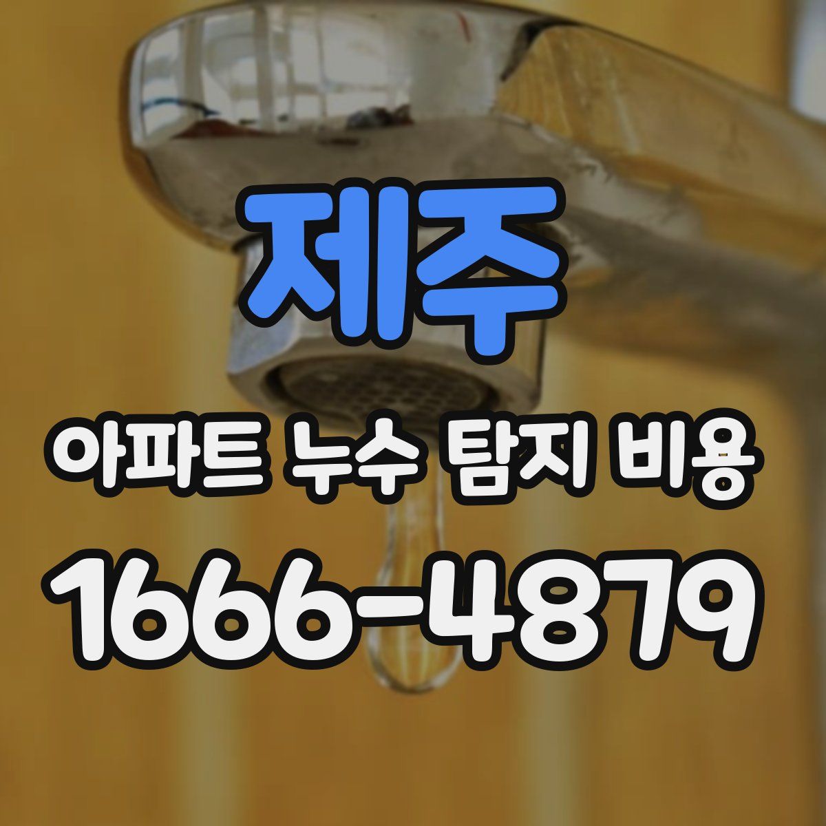 제주 아파트 누수 탐지 비용
