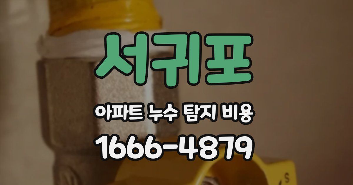 서귀포 아파트 누수 탐지 비용