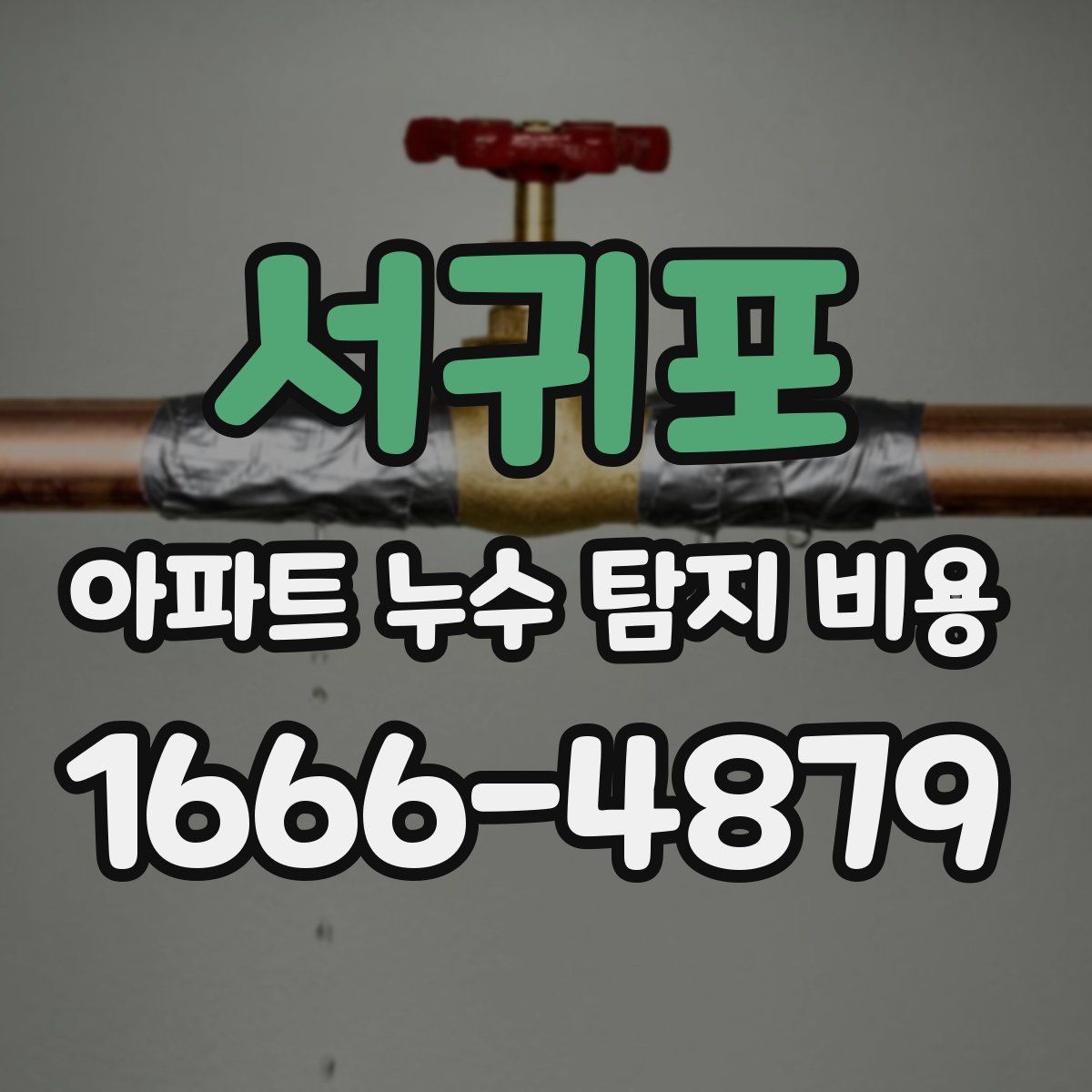 서귀포 아파트 누수 탐지 비용
