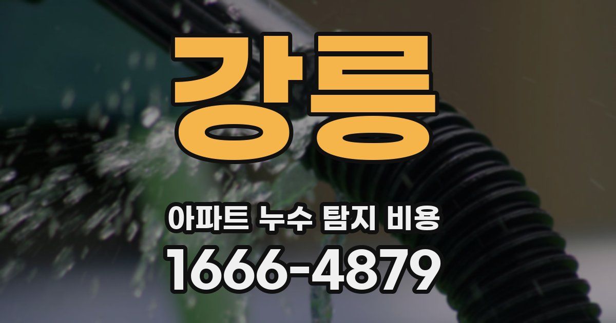 강릉 아파트 누수 탐지 비용
