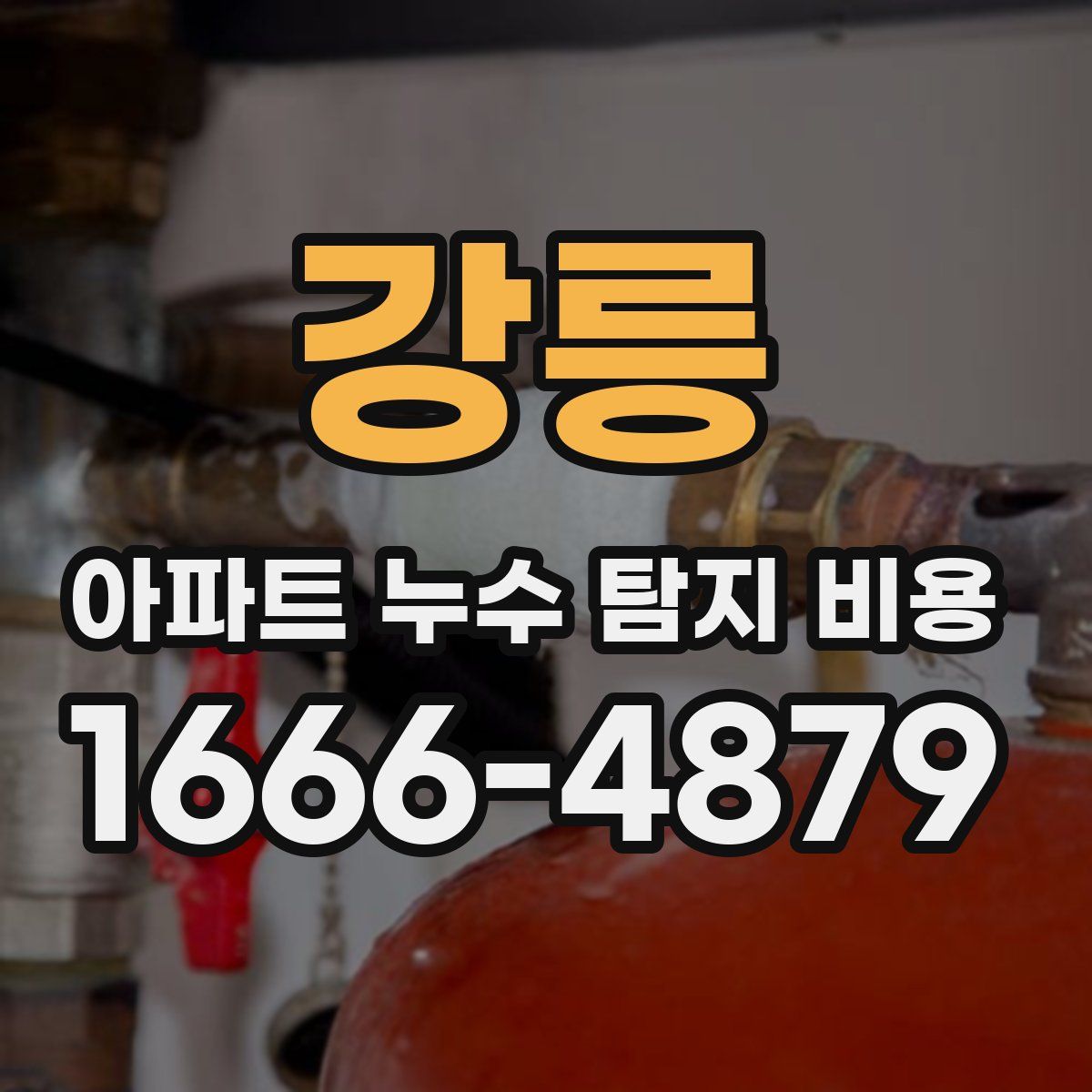 강릉 아파트 누수 탐지 비용