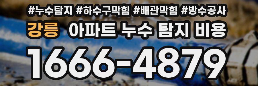 강릉 아파트 누수 탐지 비용