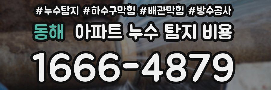 동해 아파트 누수 탐지 비용