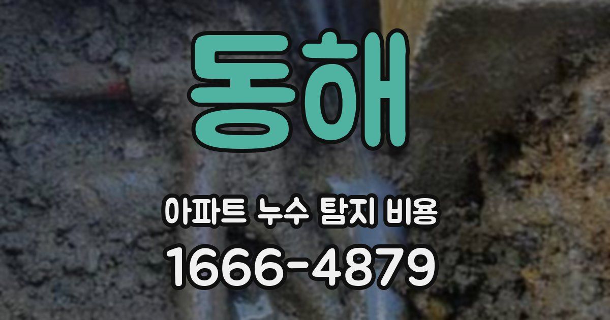 동해 아파트 누수 탐지 비용