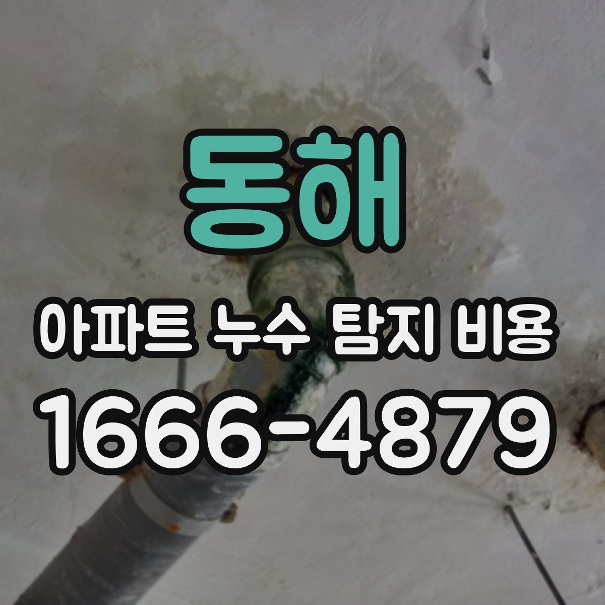 동해 아파트 누수 탐지 비용