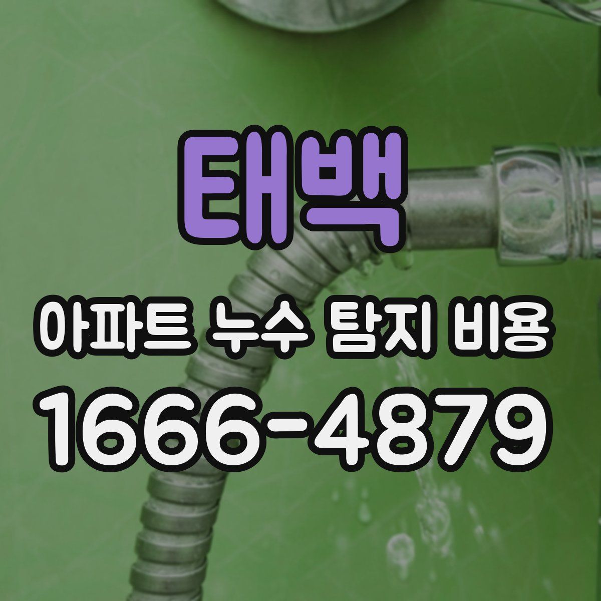 태백 아파트 누수 탐지 비용