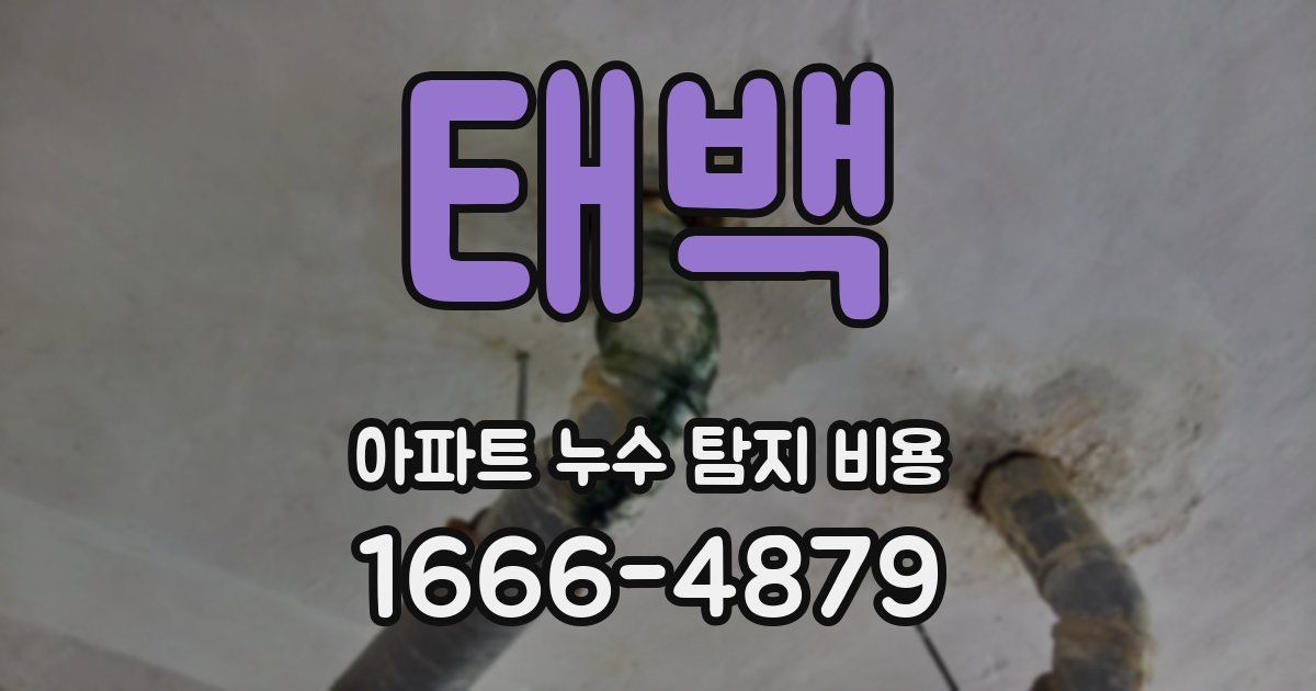 태백 아파트 누수 탐지 비용