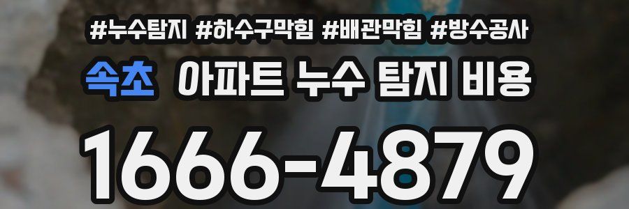 속초 아파트 누수 탐지 비용