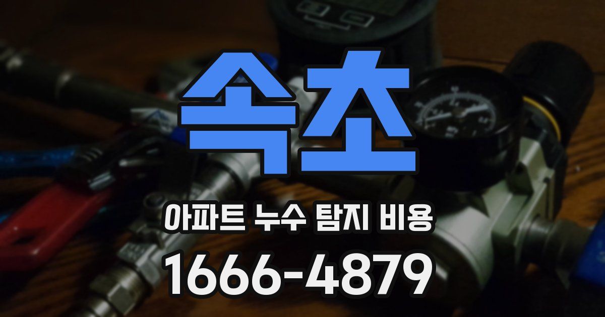 속초 아파트 누수 탐지 비용
