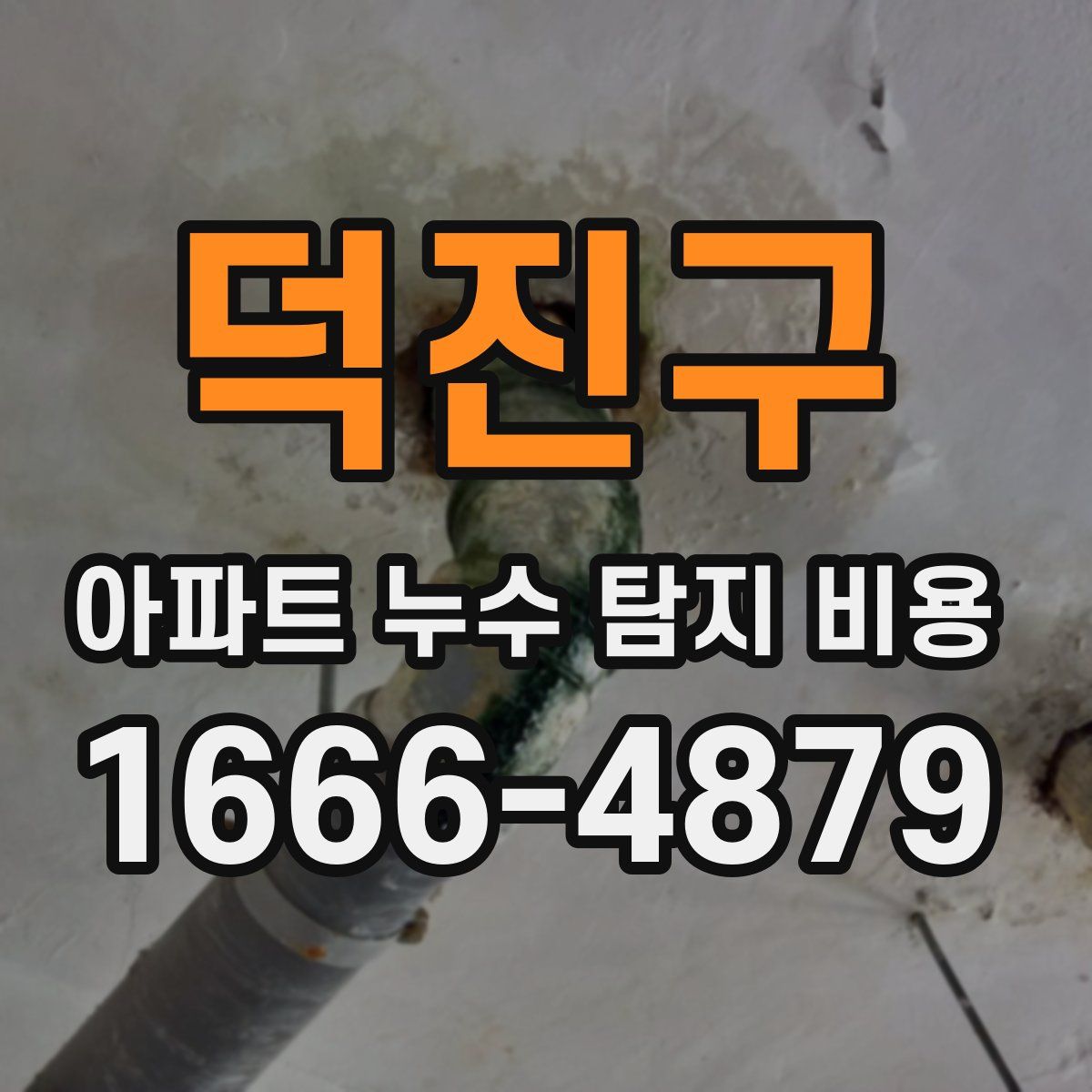 덕진구 아파트 누수 탐지 비용