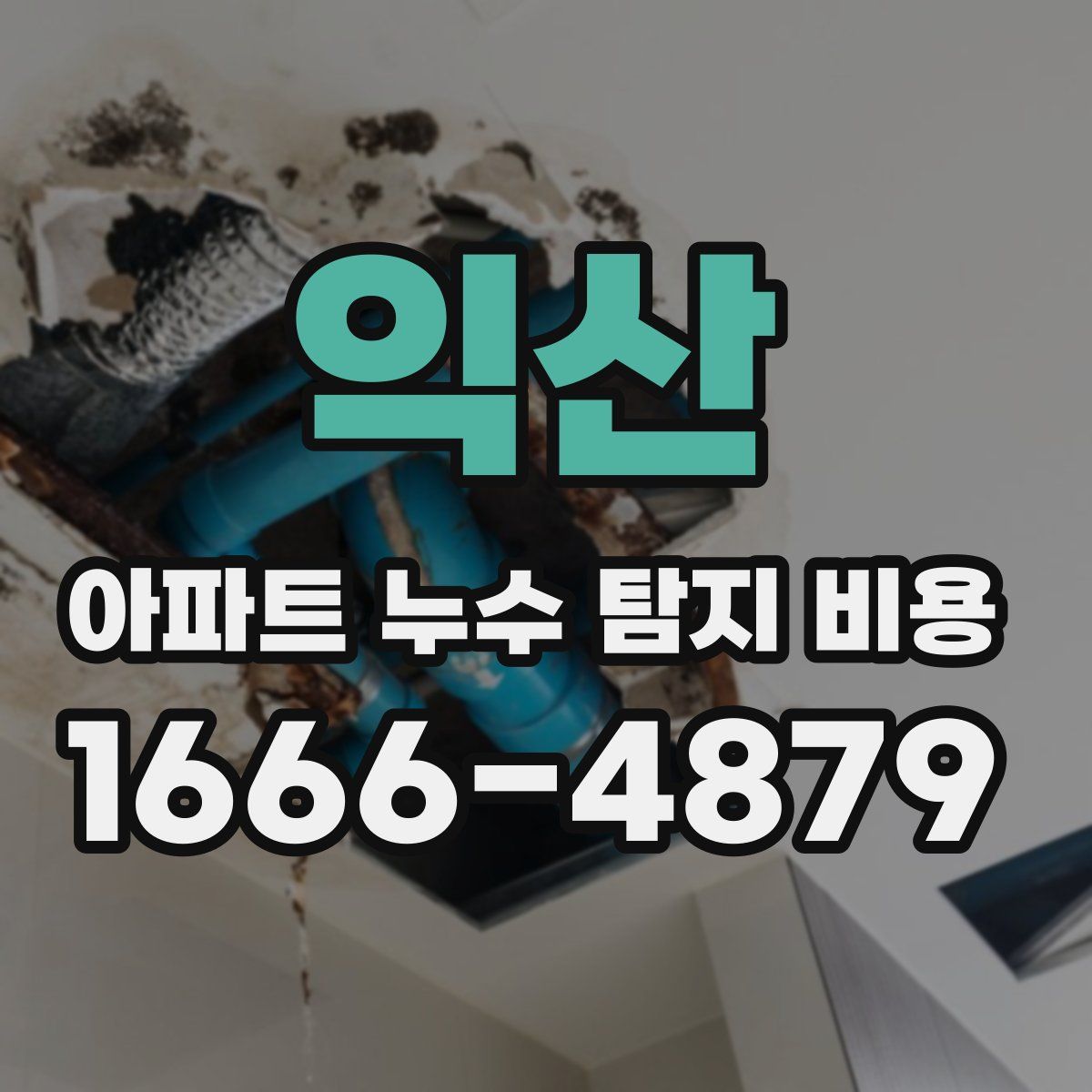 익산 아파트 누수 탐지 비용