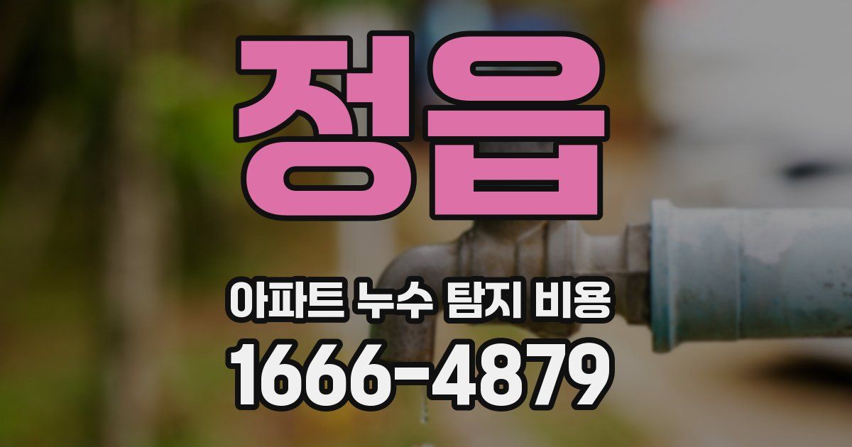 정읍 아파트 누수 탐지 비용