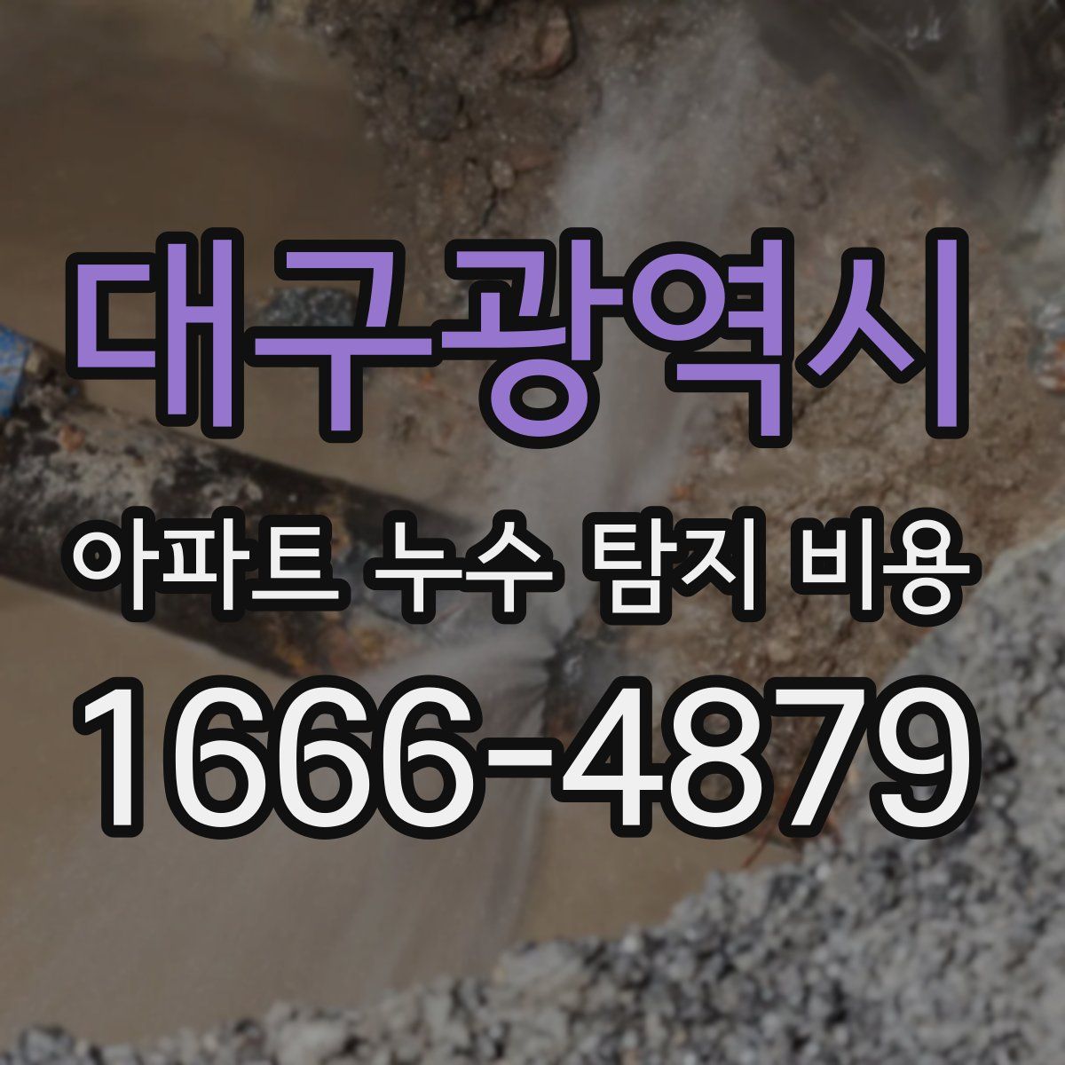 대구광역시 아파트 누수 탐지 비용