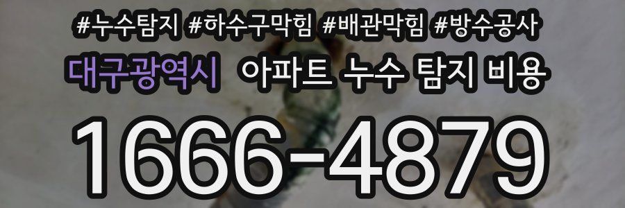 대구광역시 아파트 누수 탐지 비용
