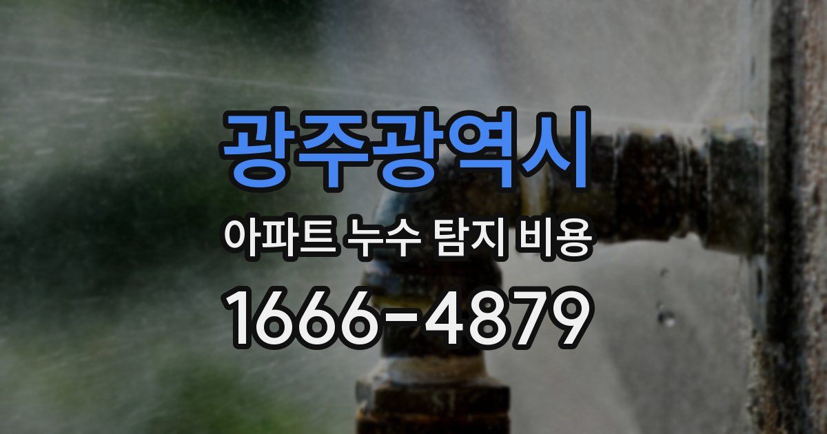 광주광역시 아파트 누수 탐지 비용