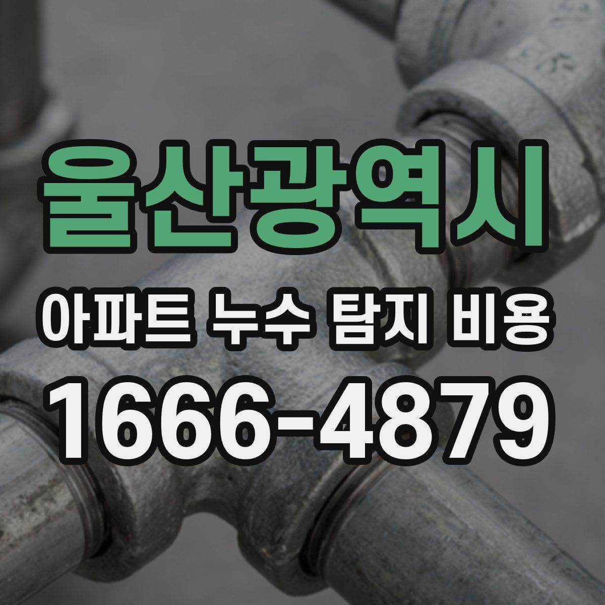 울산광역시 아파트 누수 탐지 비용