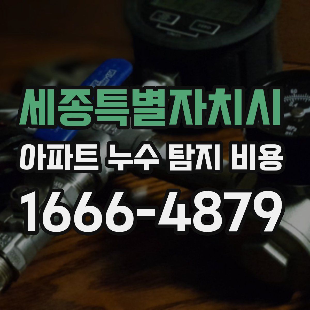 세종특별자치시 아파트 누수 탐지 비용