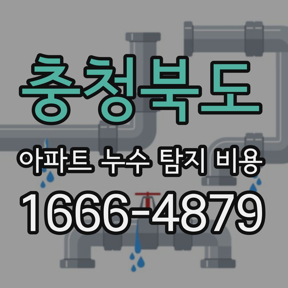 충청북도 아파트 누수 탐지 비용