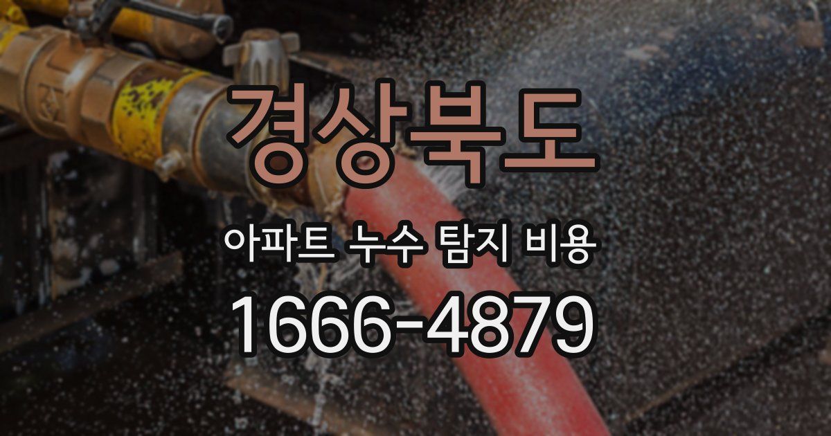 경상북도 아파트 누수 탐지 비용