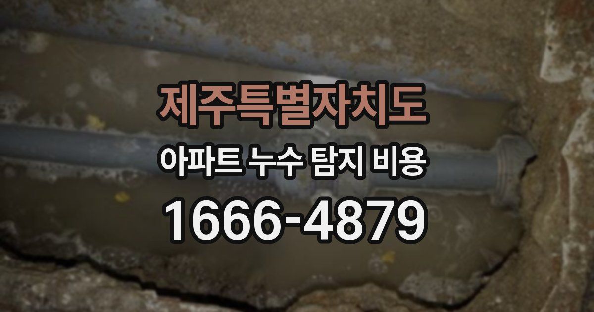 제주특별자치도 아파트 누수 탐지 비용