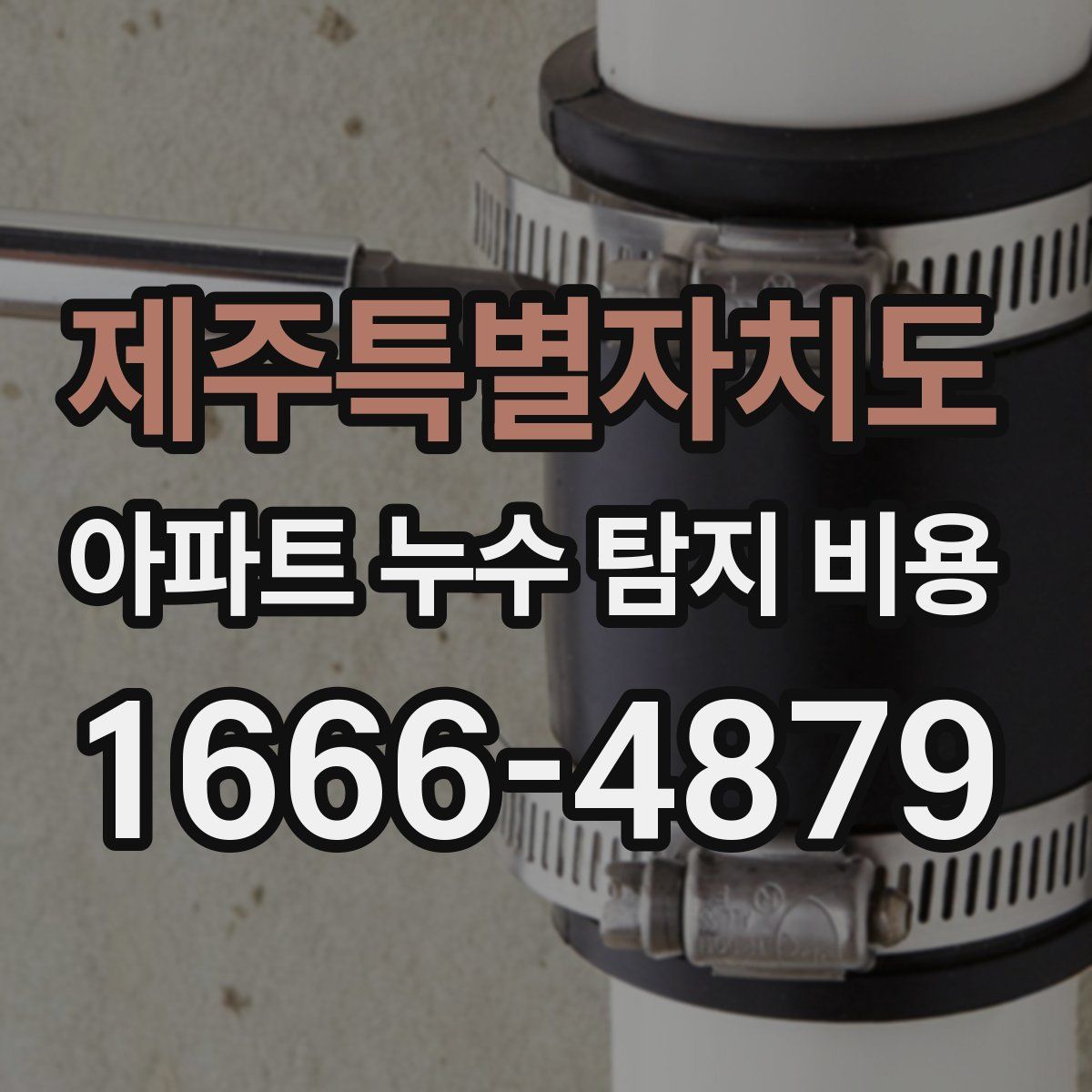 제주특별자치도 아파트 누수 탐지 비용